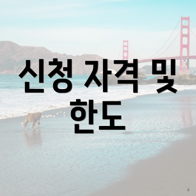 신청 자격 및 한도