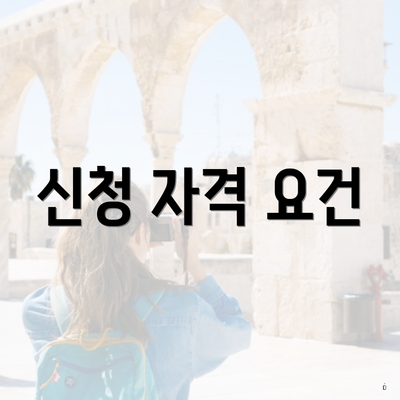 신청 자격 요건