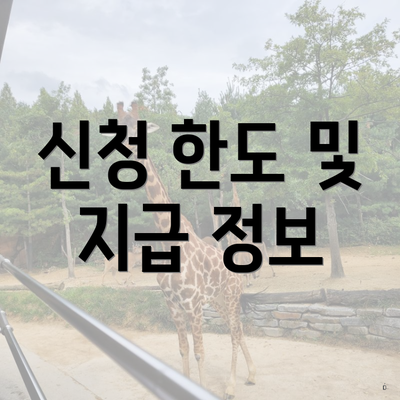 신청 한도 및 지급 정보