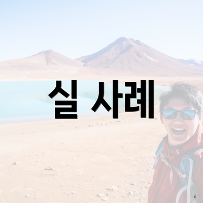 실 사례