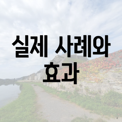 실제 사례와 효과