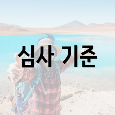 심사 기준