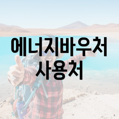 에너지바우처 사용처