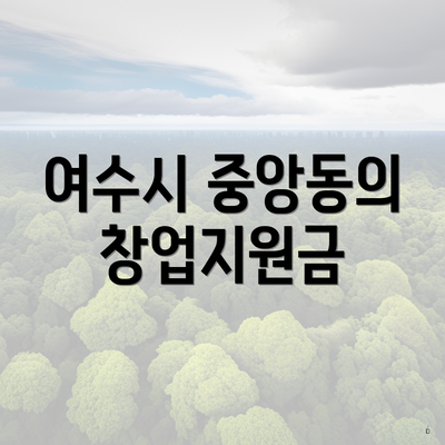 여수시 중앙동의 창업지원금