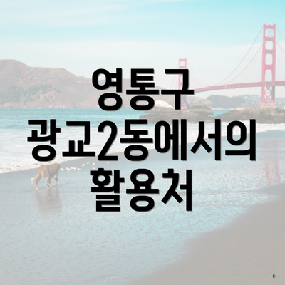영통구 광교2동에서의 활용처