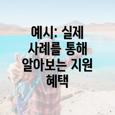 예시: 실제 사례를 통해 알아보는 지원 혜택