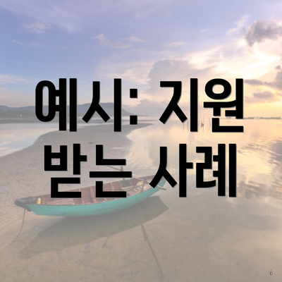 예시: 지원 받는 사례