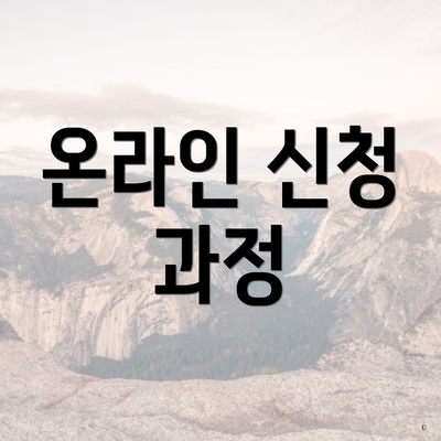 온라인 신청 과정