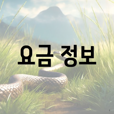 요금 정보