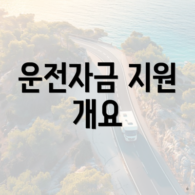 운전자금 지원 개요