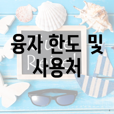융자 한도 및 사용처