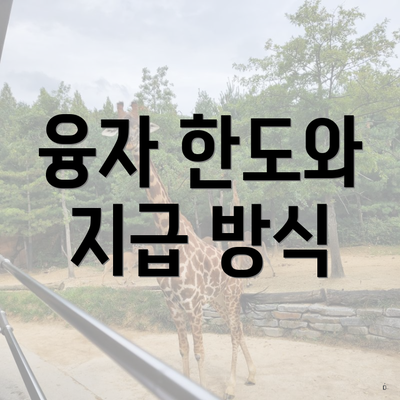 융자 한도와 지급 방식