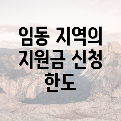 임동 지역의 지원금 신청 한도