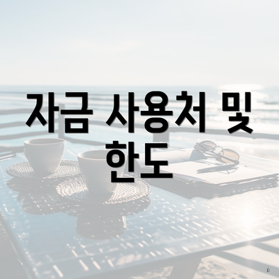 자금 사용처 및 한도