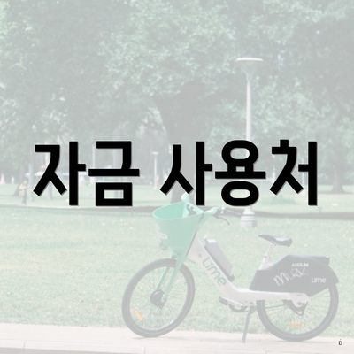 자금 사용처