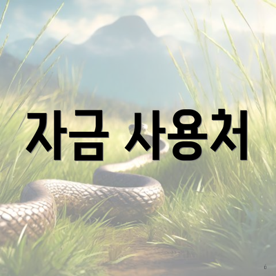 자금 사용처