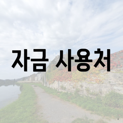 자금 사용처