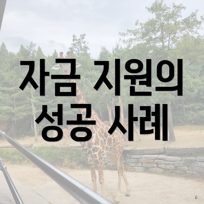 자금 지원의 성공 사례