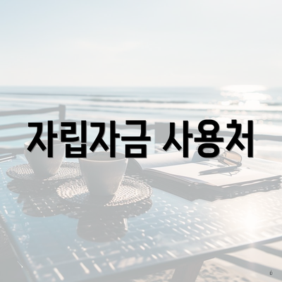 자립자금 사용처