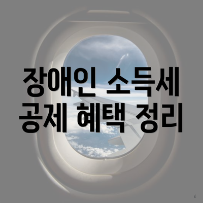 장애인 소득세 공제 혜택 정리