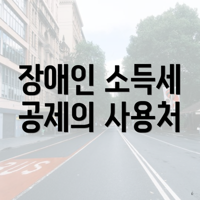 장애인 소득세 공제의 사용처