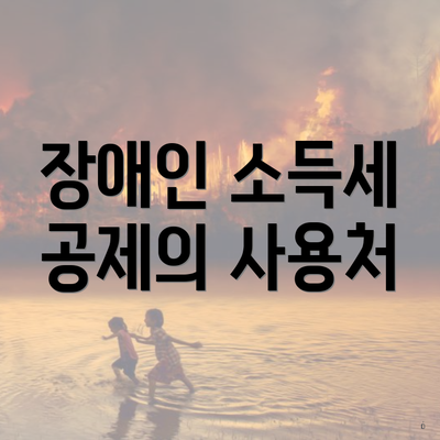 장애인 소득세 공제의 사용처