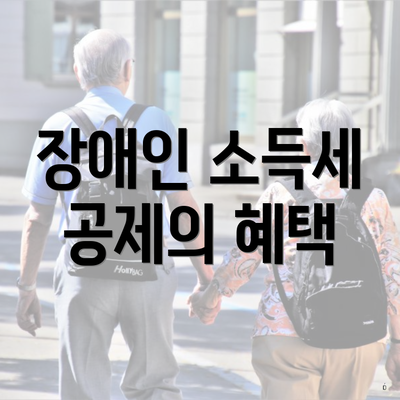 장애인 소득세 공제의 혜택
