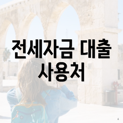 전세자금 대출 사용처