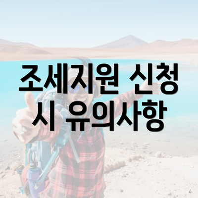 조세지원 신청 시 유의사항