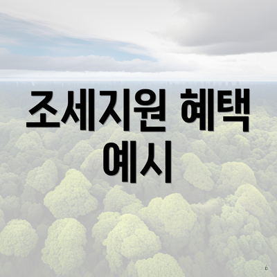 조세지원 혜택 예시