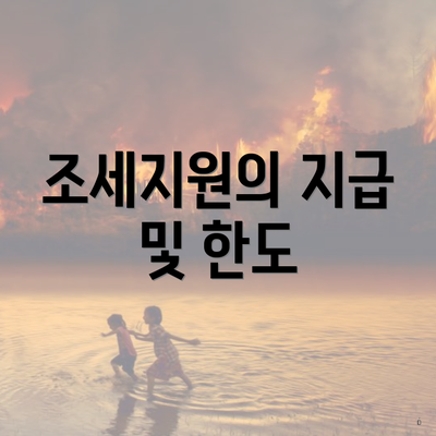 조세지원의 지급 및 한도