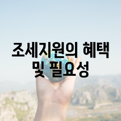 조세지원의 혜택 및 필요성