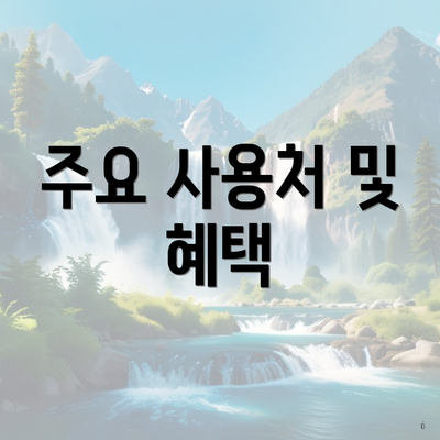 주요 사용처 및 혜택