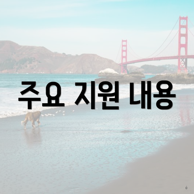 주요 지원 내용
