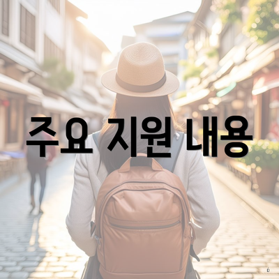 주요 지원 내용