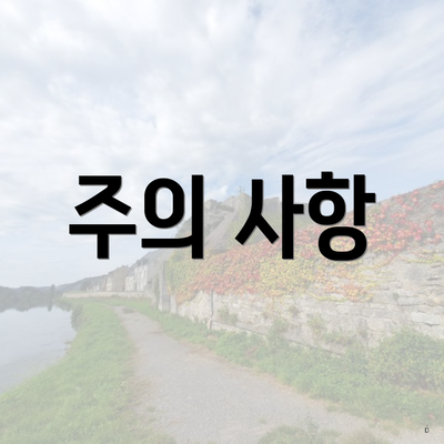 주의 사항