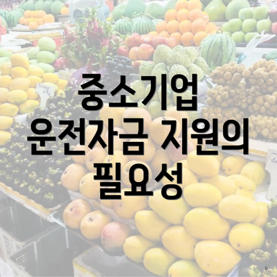 중소기업 운전자금 지원의 필요성