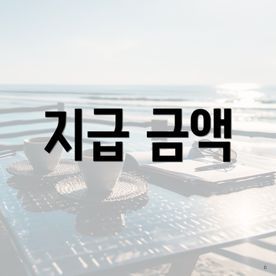 지급 금액
