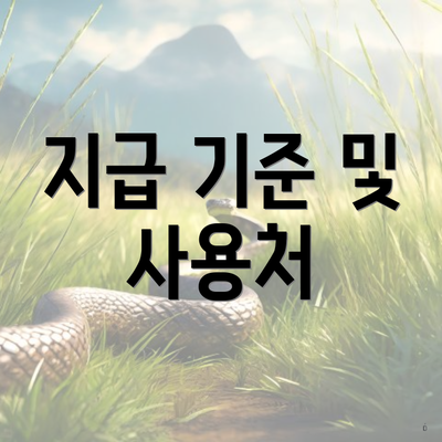 지급 기준 및 사용처