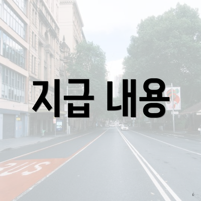 지급 내용