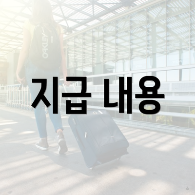 지급 내용