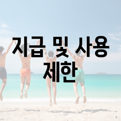 지급 및 사용 제한