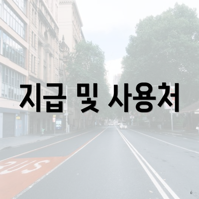 지급 및 사용처
