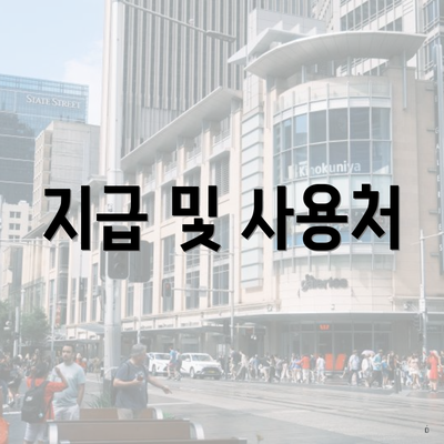 지급 및 사용처