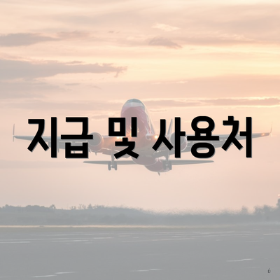 지급 및 사용처