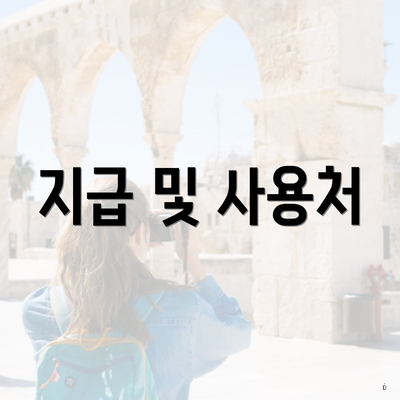 지급 및 사용처