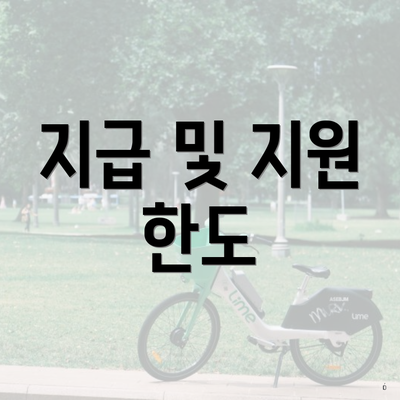 지급 및 지원 한도