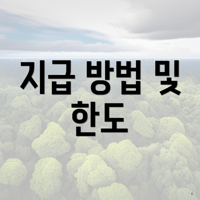 지급 방법 및 한도