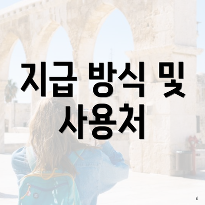 지급 방식 및 사용처