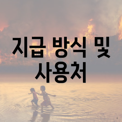 지급 방식 및 사용처